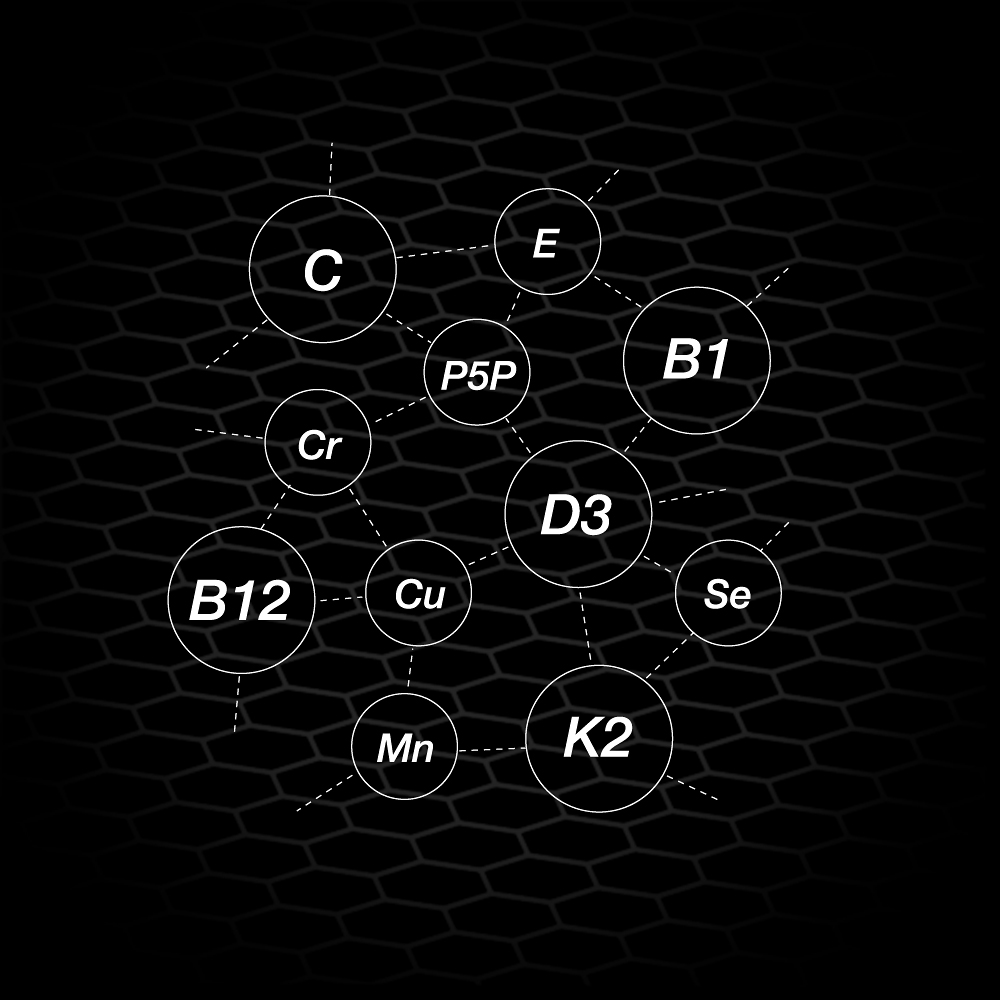 Vita Solution – infografika